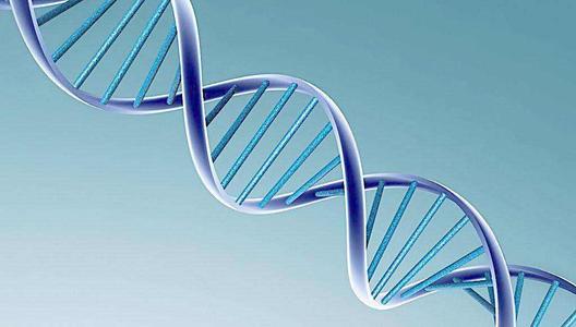 生物三字 生物工程,生物技術,生物科學這些專業(yè)有什么區(qū)別
